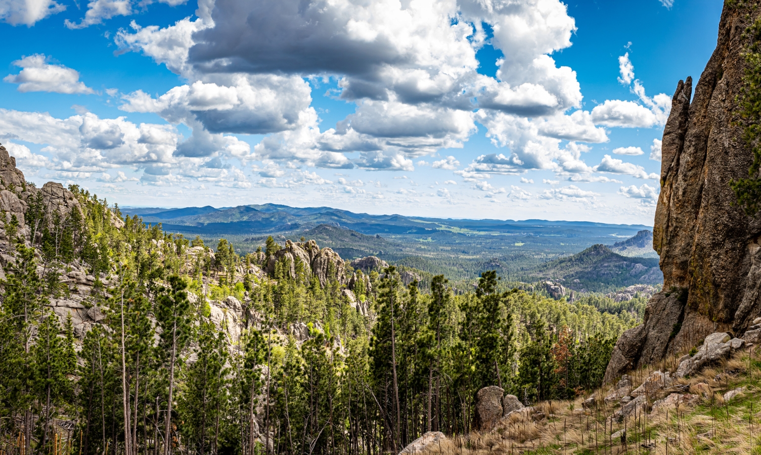 Speactacular views along Needles Highway at Custer State Park in the Black Hills of South Dakota.