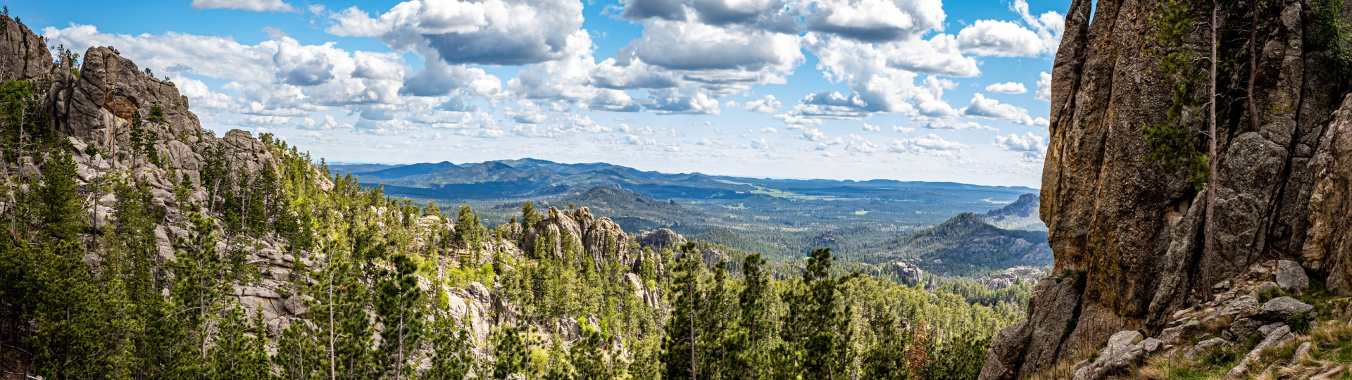 Speactacular views along Needles Highway at Custer State Park in the Black Hills of South Dakota.