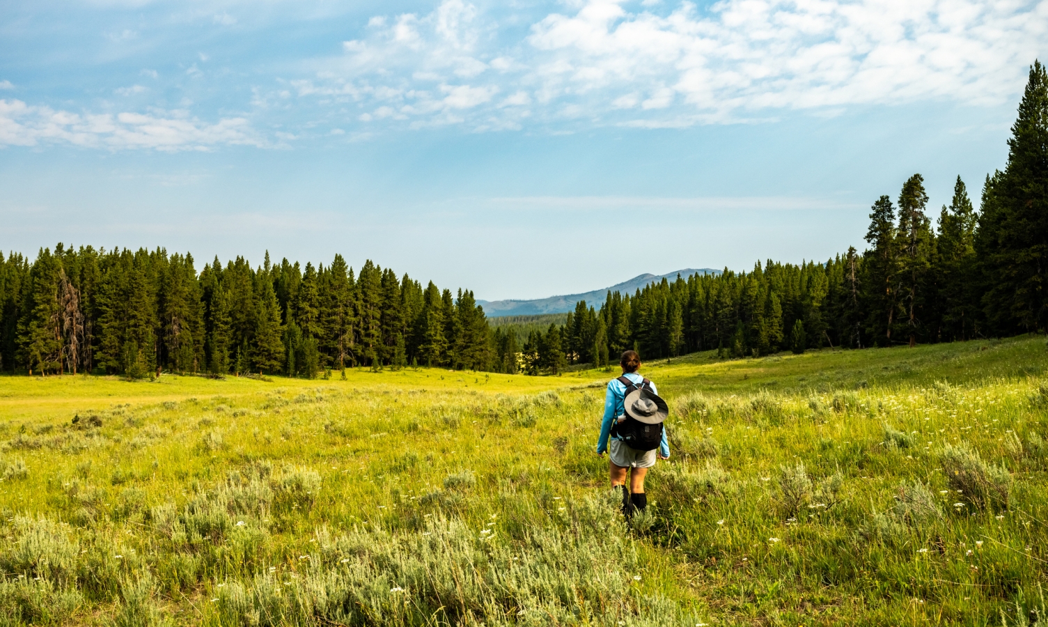 Woman Hikes through Yellowstone Wilderness on the way to Wrangler Lake